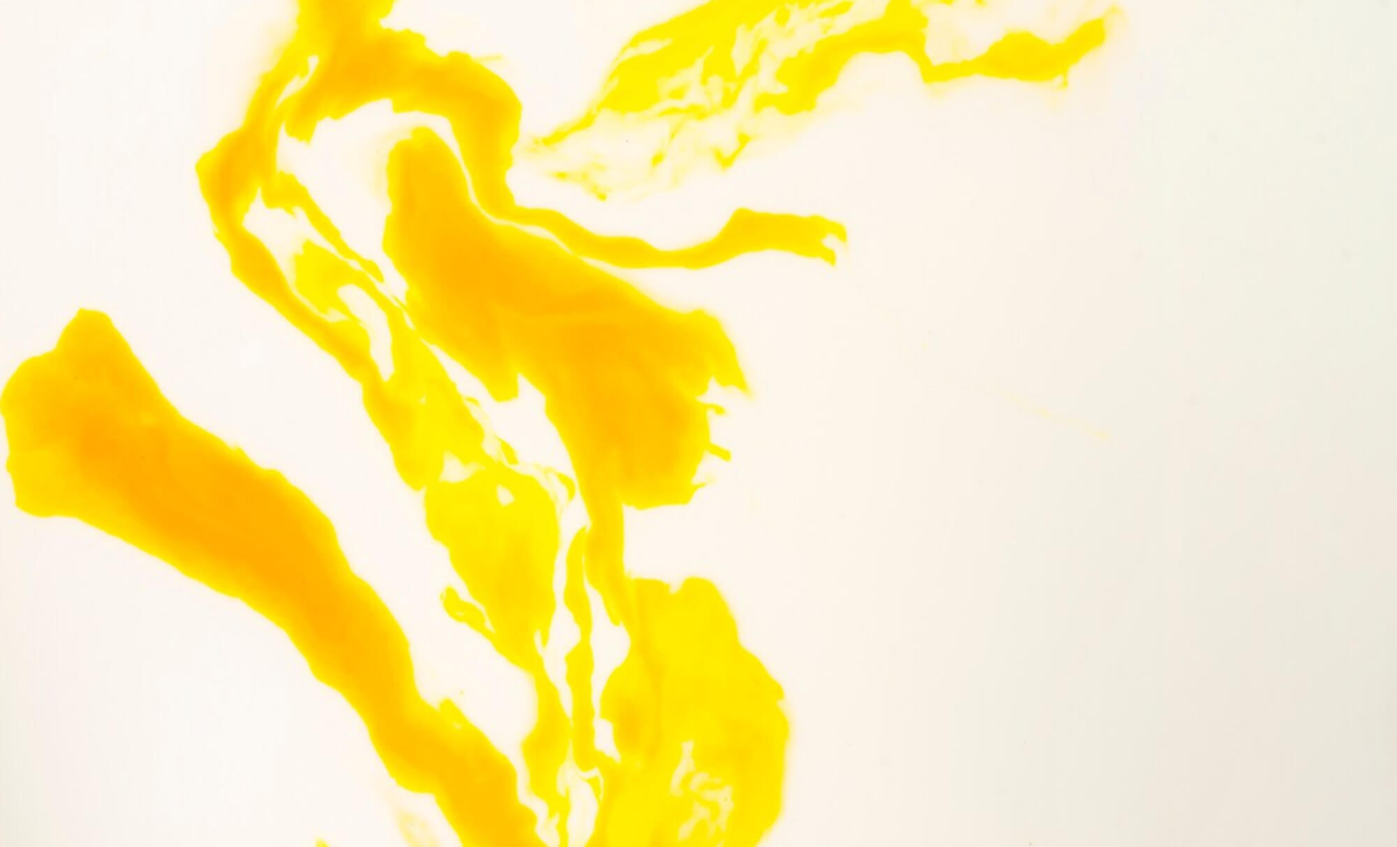 5D DESIGN STUDIO - BLOSSOM SOUL