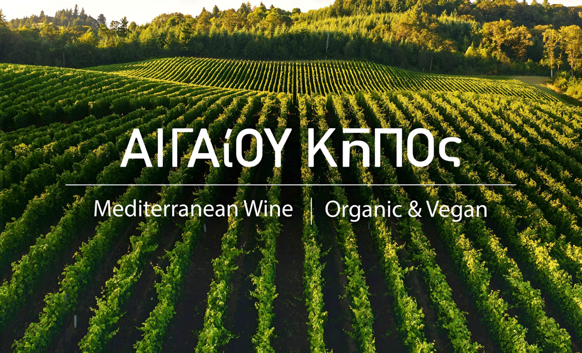 5D-DESIGN-STUDIO_AGAIOU-KIPOS