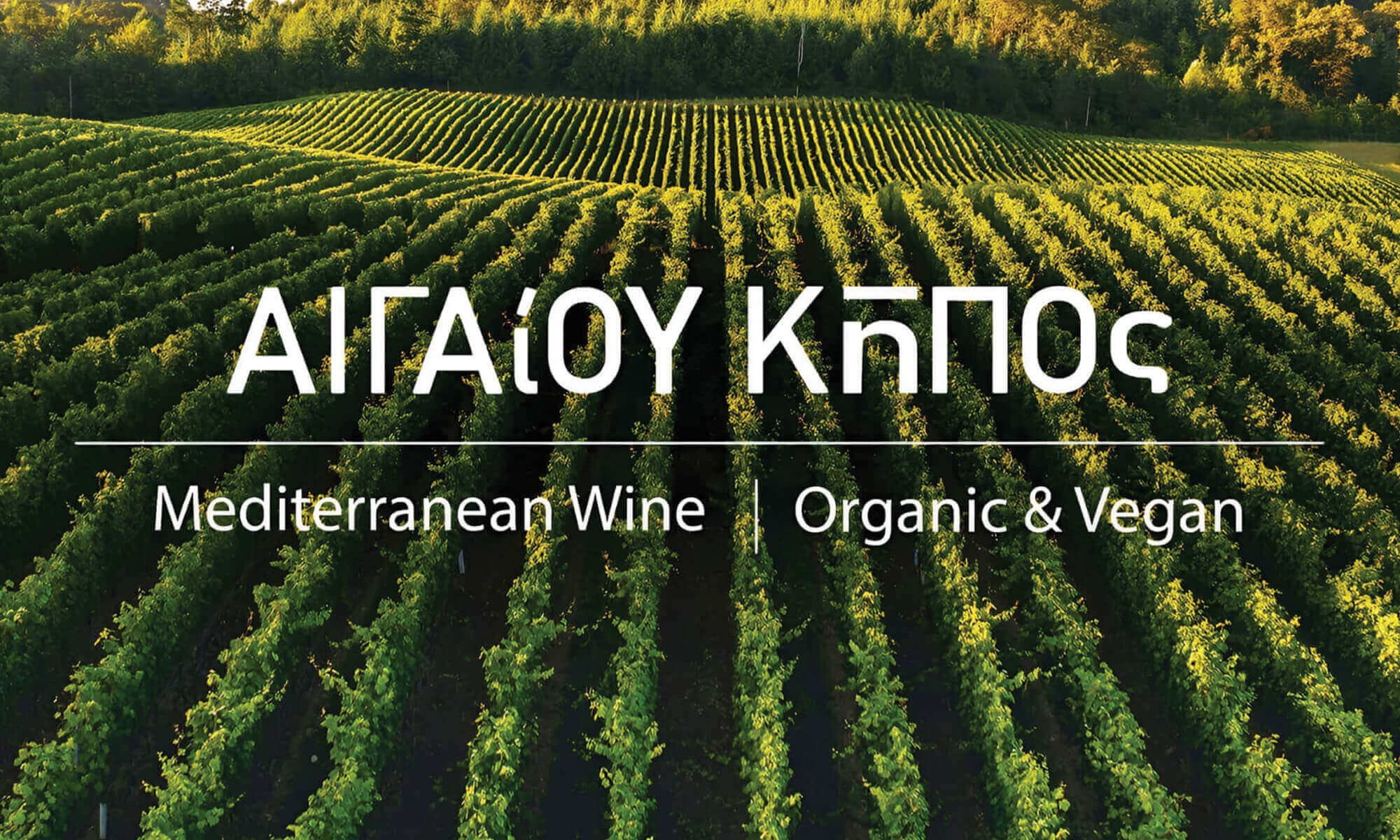 5D-DESIGN-STUDIO_AIGAIOY-KIPOS_view