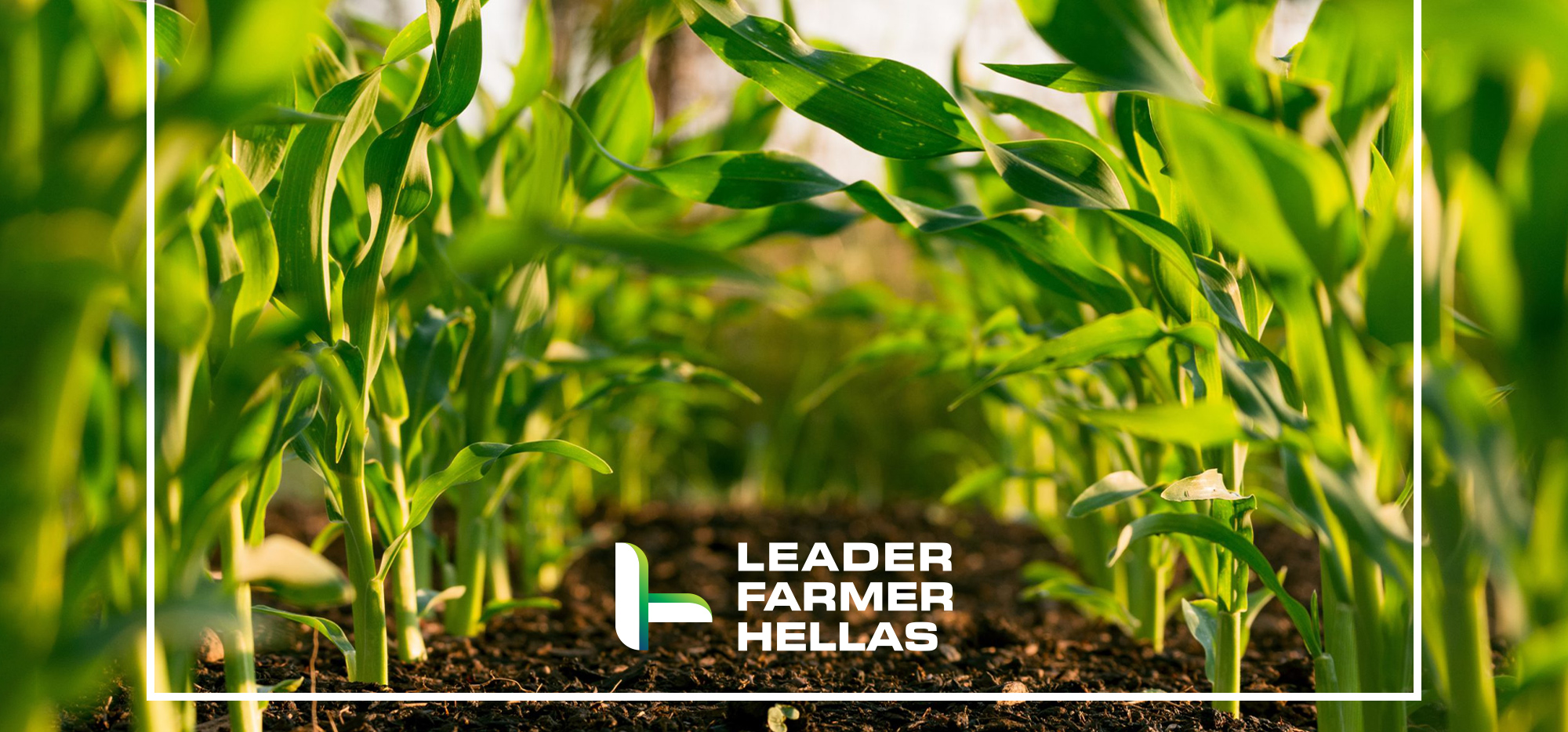 5D-DESIGN-STUDIO_LEADER-FARMER-HELLAS_IDENTITY